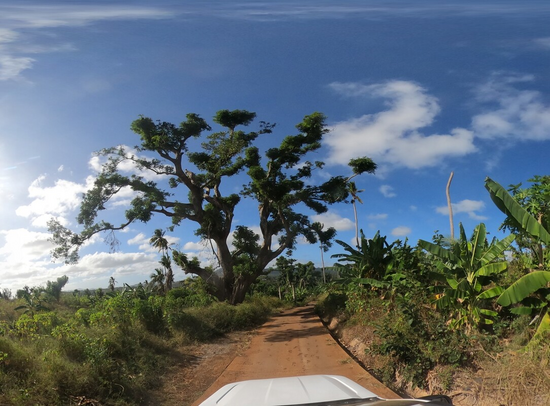 Ein neuer globaler Datensatz des Heidelberg Institute for Geoinformation Technology ermöglicht es, weltweit zwischen befestigten und unbefestigten Straßen zu unterscheiden. | Copyright: © sig_3co, Panoramax Ein neuer globaler Datensatz des Heidelberg Institute for Geoinformation Technology ermöglicht es, weltweit zwischen befestigten und unbefestigten Straßen zu unterscheiden. | Copyright: © sig_3co, Panoramax