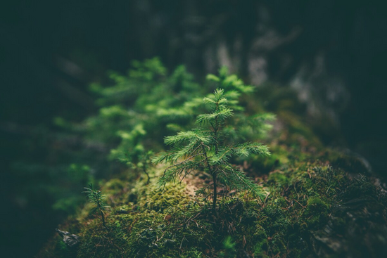 Foto von Matthew Smith auf Unsplash Foto von Matthew Smith auf Unsplash