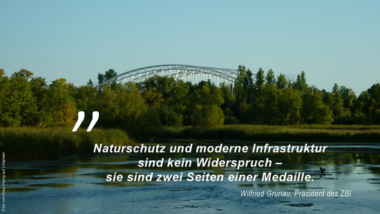 Foto von Alisa Zheng auf Unsplash Symbolbild "Naturschutz und Infrastruktur sind kein Widerspruch. Foto von Alisa Zheng auf Unsplash"